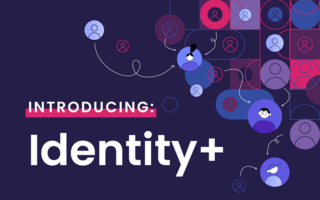 Identity+: Making Identity Resolution Accessible to Marketers
