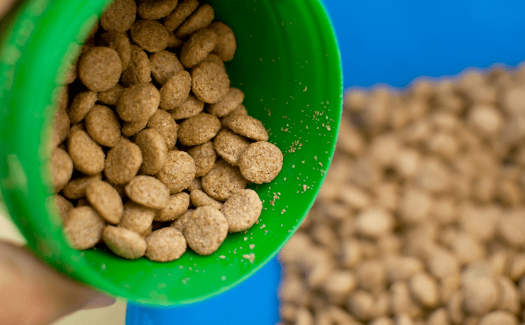 The Danger of Dogfooding | Inside Intercom