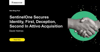 SentinelOne Secures Identity First, Deception Second, In Attivo Acquisition
