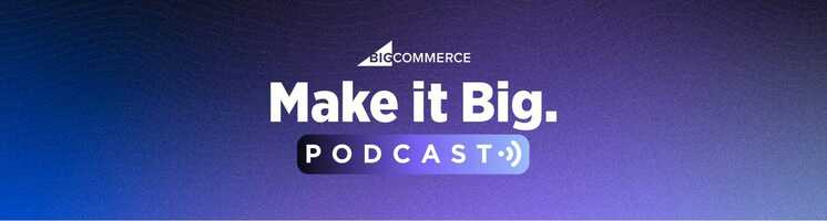 Make it Big Podcast: How to Be Successful in B2B Ecommerce with Brilliance 