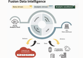 Prepare Custom Hostnames for Oracle Fusion Analytics Service Endpoints Internet Access
