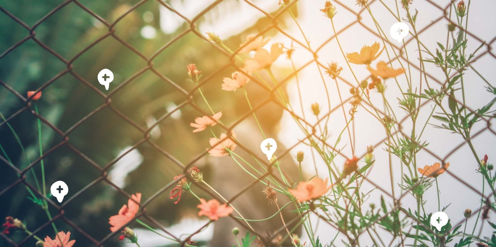 10 steps to creating a high-performing landing page for SEO