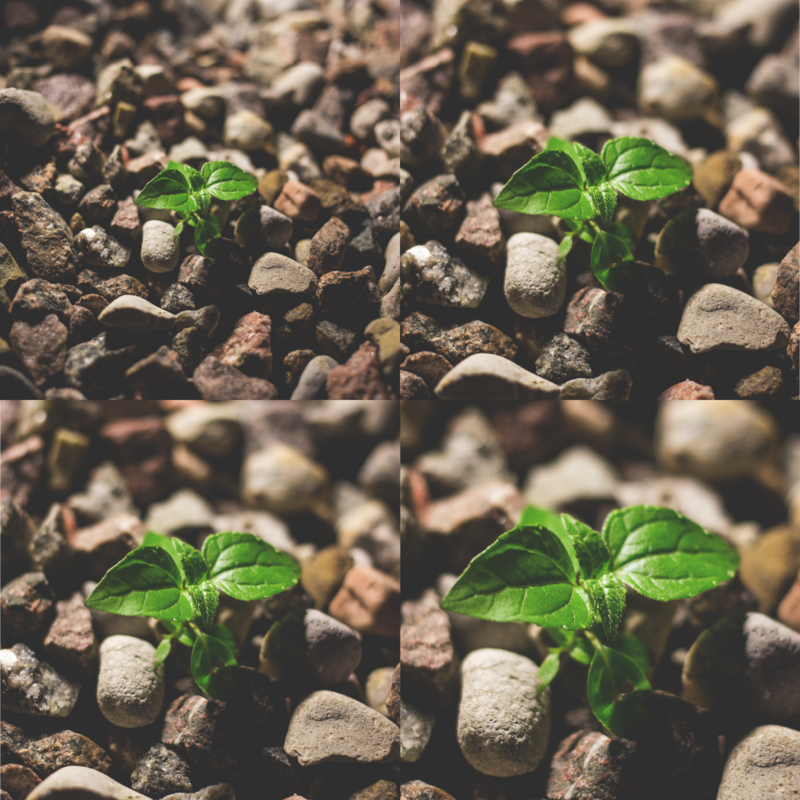 5 ways a product information management solution helps you scale your business