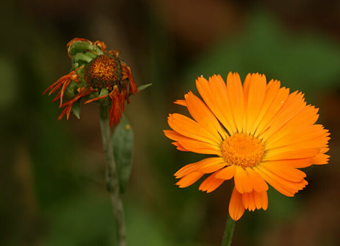 Facebook Ad Copy Examples: 13 Before & After Makeovers