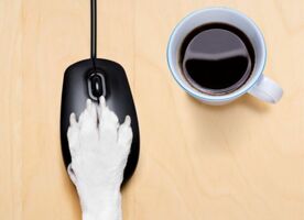 12 Ways to Improve Your Click-Through Rate in Google Ads