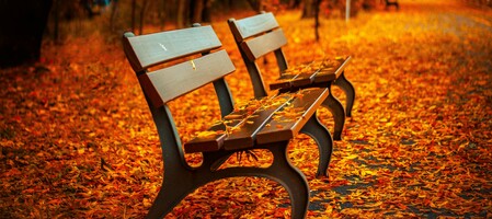 3 Fall Email Designs We Love and You Can Learn From