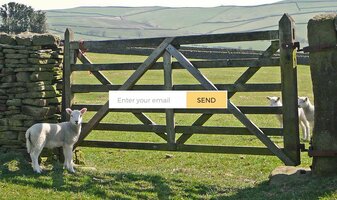 How we're using non-gated content for trust and growth at Hotjar