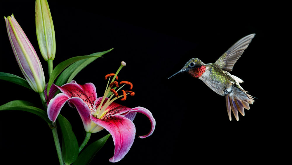 Six truths about agile sales that your organization needs to understand