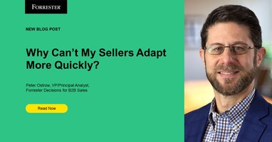 Why Can't My Sellers Adapt More Quickly?