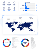 Global B2B Technology Buyer Audience