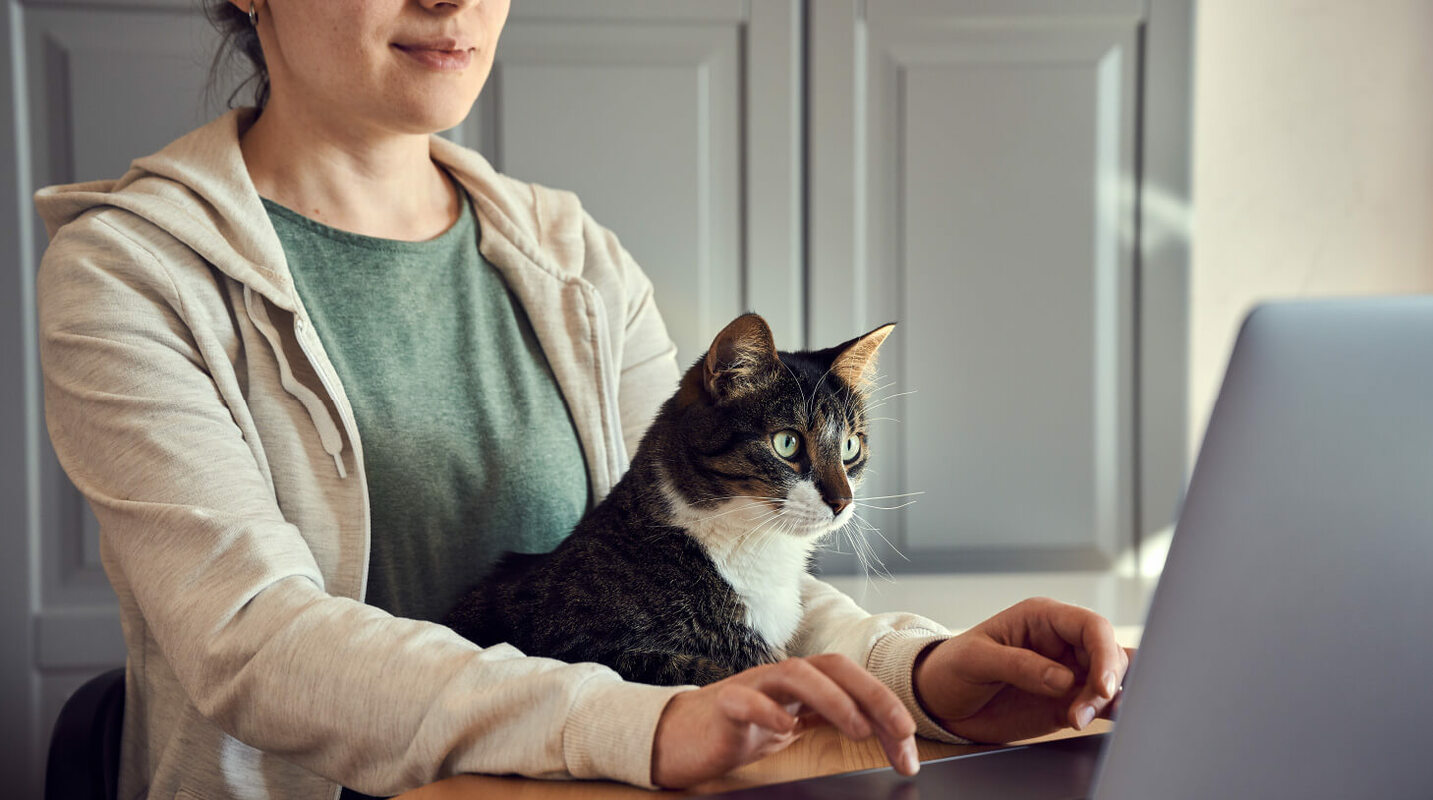 Company survey: What are the best skills for remote work?