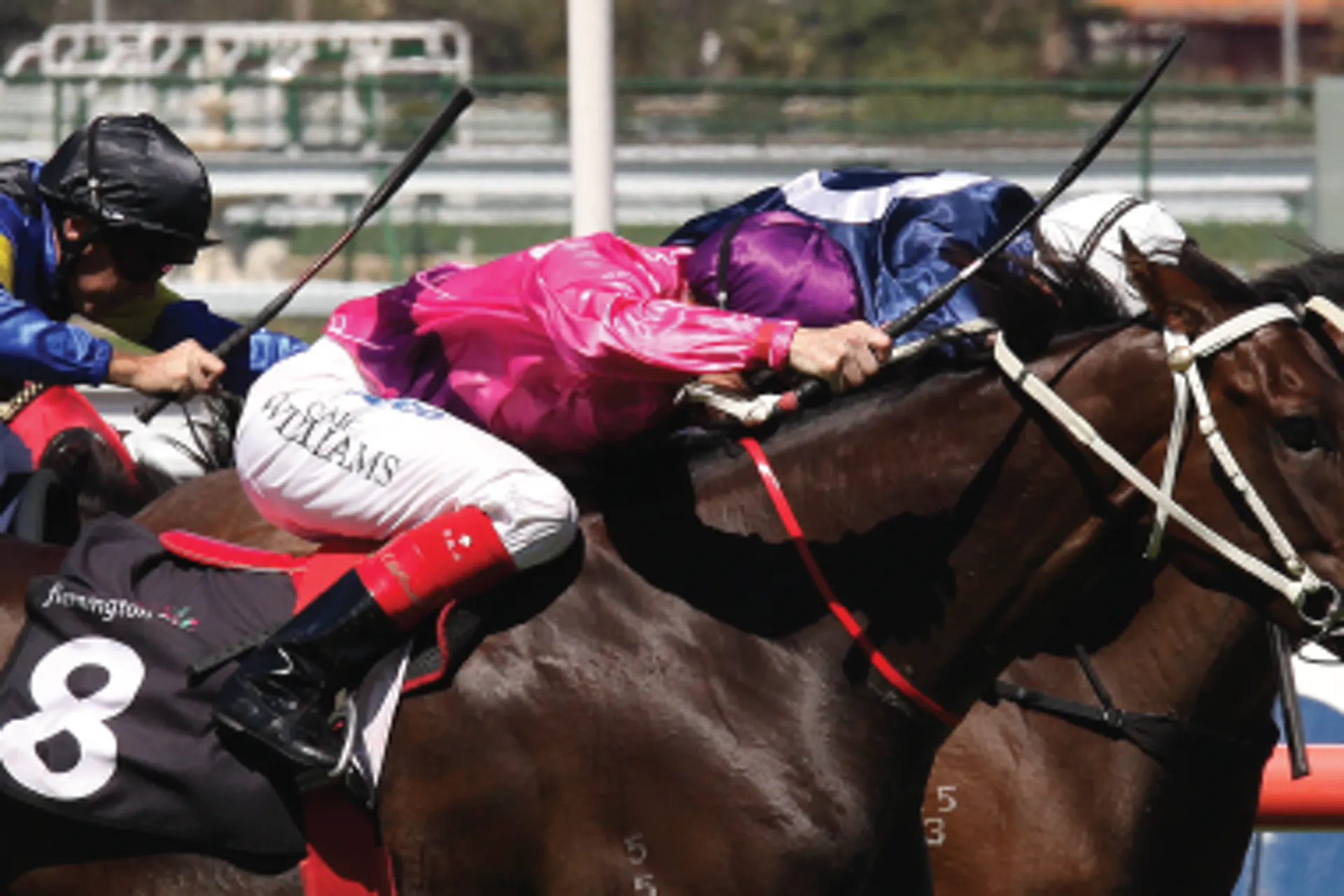 Melbourne Cup 2019: The Good, the Bad, and the Ugly