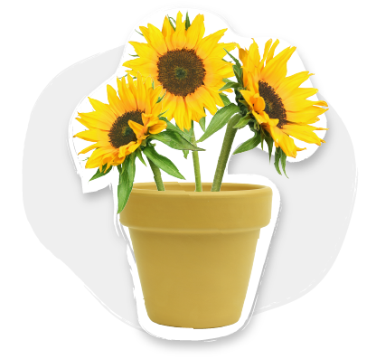 Guru Knewsletter: Powering Through Obstacles While Working Remote