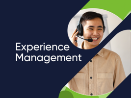 Experience Management: Creating Big Picture End-to-End Experiences