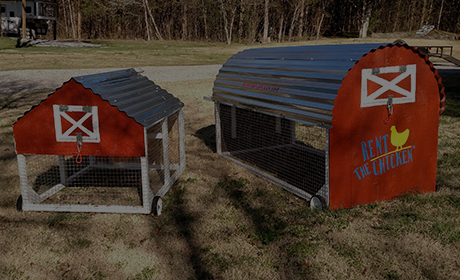 Rent The Chicken - Case Study