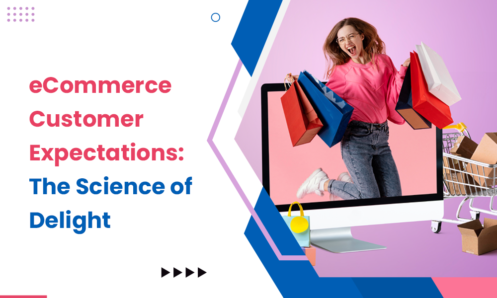 eCommerce Customer Expectations: The Science of Delight