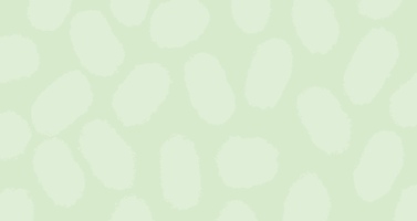 Mailchimp vs. Shopify: A Marketing Platform Comparison