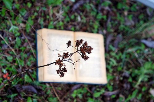 What Google's 'In-Depth Articles' Algorithm Update Means For Your Content Strategy