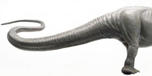 The Long Tail of Project Management