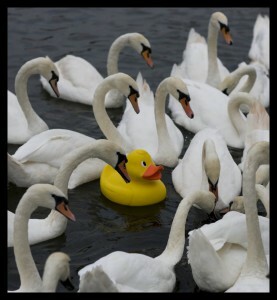 Out-of-the-ordinary Consumer Client Coverage at BLASTmedia