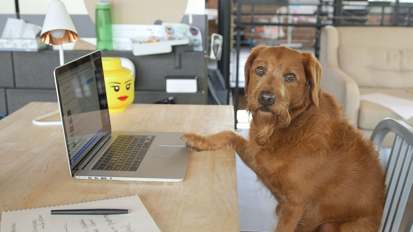 Expert Tips for Organizing Your Wistia Channel ✨