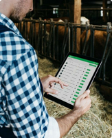 Agrando Customer Story