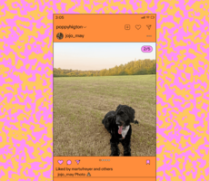 Why the Photo Dump Trend Is Taking Over Instagram