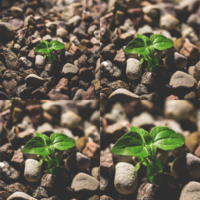 5 ways a product information management solution helps you scale your business