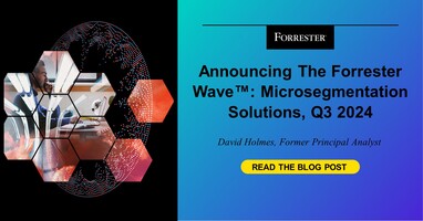 Announcing The Forrester Wave™: Microsegmentation Solutions, Q3 2024