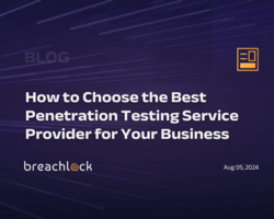 How to Choose the Best Penetration Testing Service Provider for Your Business