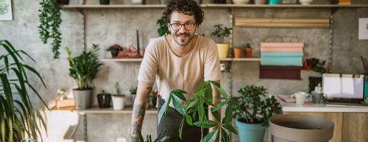 Introducing WhatsApp Campaigns on Brevo: A Quick-Start Guide