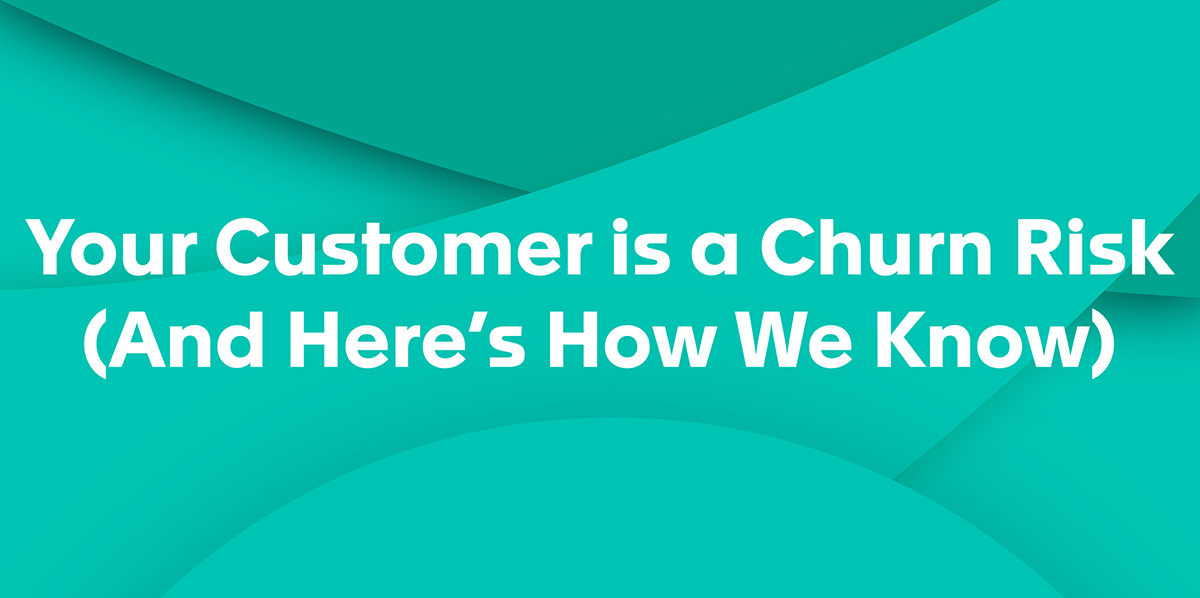 Your Customer is a Churn Risk (And Here's How We Know)