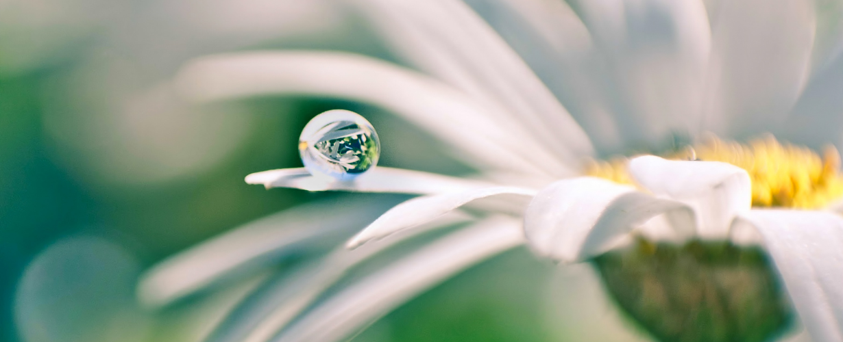 Pipeliner's Goal for Sales