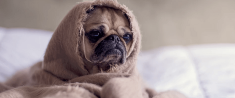 Do Mobile App ROI Measurements Give You the Heebie-Jeebies?