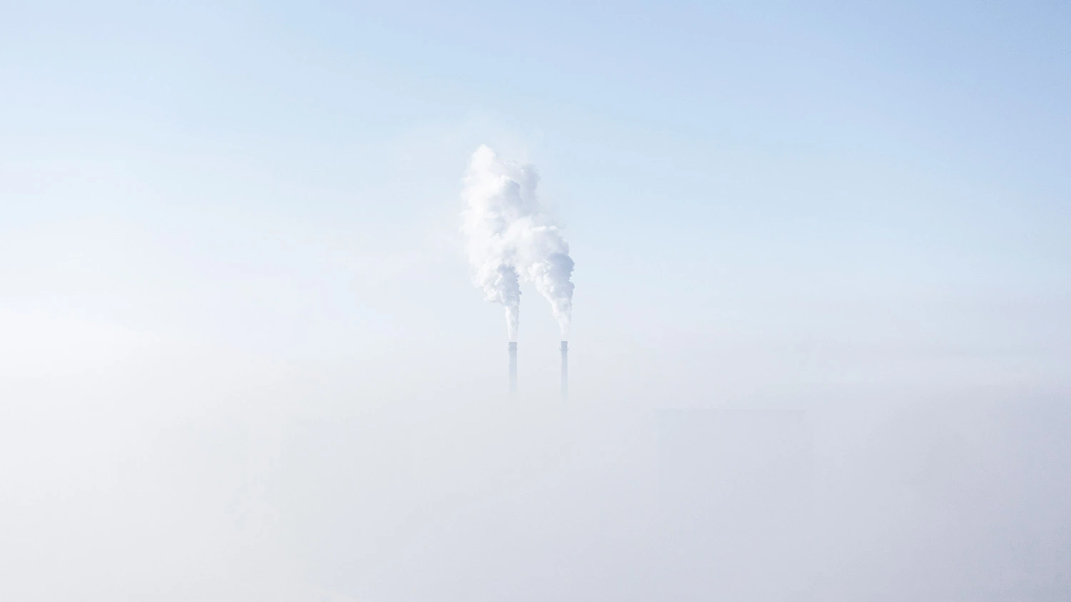 Carbon Removal Can Help Your Company Reach Net Zero - Here's How It Works