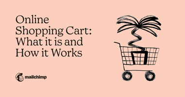 Online Shopping Cart: What It Is & How It Works