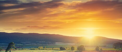 Building Your Business Case for an Email Sunset Policy | Twilio SendGrid