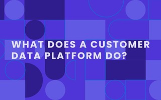 What Does a Customer Data Platform Do?