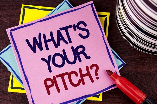 What's in a Successful Sales Pitch?