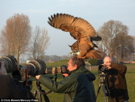 A Duolingo Lesson: SNL vs. Some Kid's Tweet