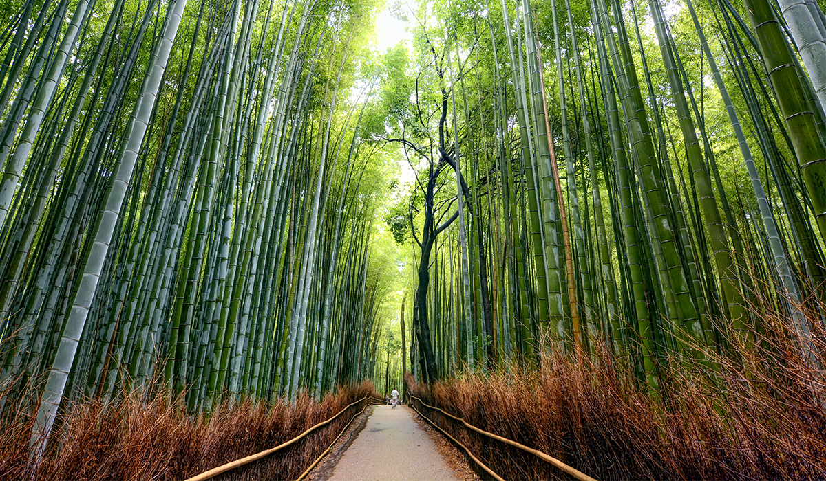 Bolster Brand Resilience With DMARC