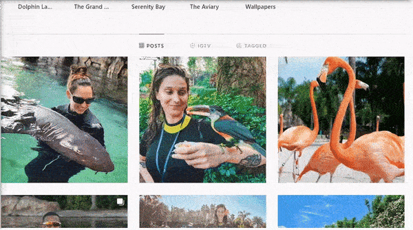 Organic vs. Paid Social Media Marketing: Do You Need Both?