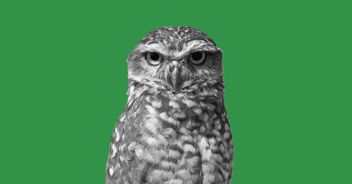 Sendible vs Hootsuite