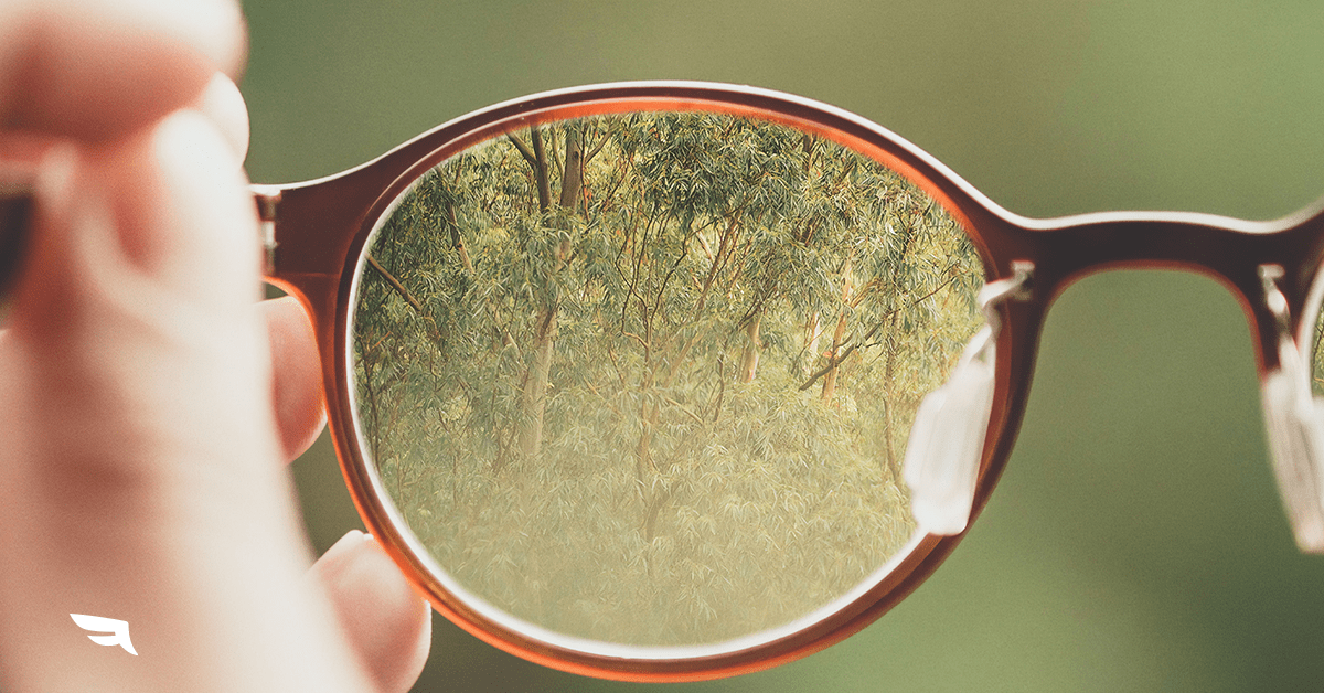 Spark Interview: See the Marketing Forest, Not the Trees.