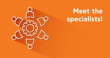 The Magnificent Seven: The importance of specialization within teamwork