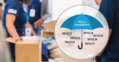 What is a 501(c)?