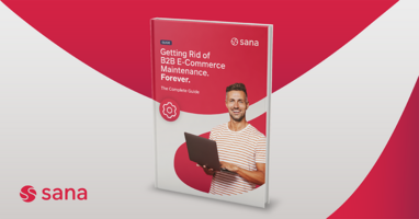 Getting Rid of E-Commerce Maintenance... Forever: The Complete Guide