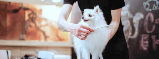 5 unexpected services to create new property management revenue streams