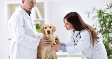 Balancing corporate consistency and local authenticity with Birdeye Social