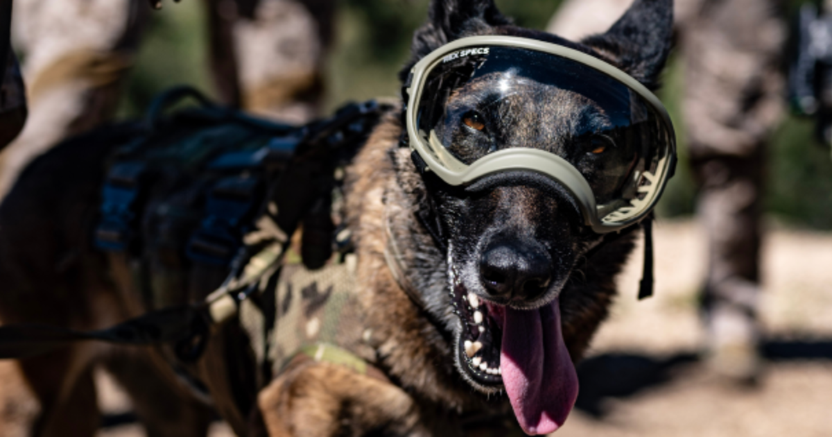 How Rex Specs uses Postscript and Conversational SMS to drive 100x ROI